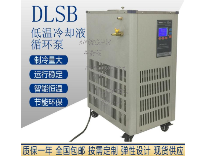 DLSB-30L低溫冷卻液循環(huán)泵